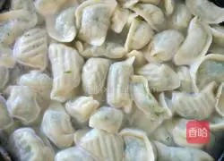 fennel Illustration of how to make egg-vegetarian dumplings 14