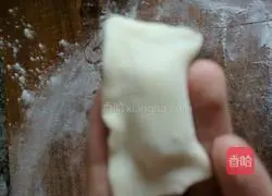 Illustration of how to wrap wontons 5