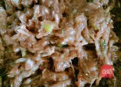 Illustration of how to make beef dumplings 3