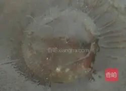 Illustration of Homemade Fried Noodles 9