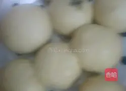 Illustration of how to make fungus steamed buns 8