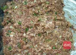 Illustration of how to make parsley and beef dumplings 6