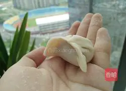 Illustration of how to make shrimp dumplings (including dumpling wrappers) 9