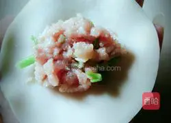 Illustration of making dumplings 2