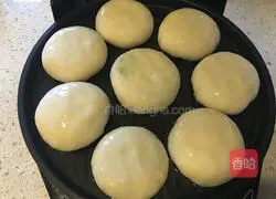 Pork and Chive Pie Recipe Illustration 14