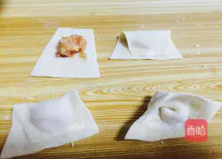 Illustration of how to make wontons 7