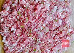 Illustration of how to make cabbage and pork dumplings 1