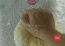 Illustration of how to make bean dregs steamed buns 6