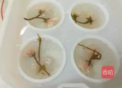 Shui Xinxuan Cake Recipe Illustration 8