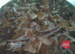 Illustration of Northeast Mushroom and Big Chili Pork Dumplings 2