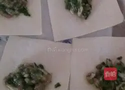 Illustration of how to make vegetable and meat wontons 6