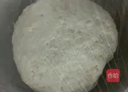 Illustration of how to make rabbit steamed buns 1