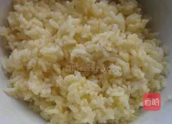 Golden Fried Rice Recipe Illustration 4