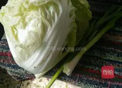 Vegetarian fried noodles! Recipe 3