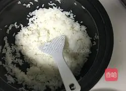 Egg Fried Rice Recipe Illustration 1