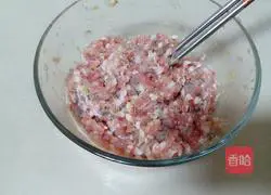 Illustration of homemade shrimp wontons 4