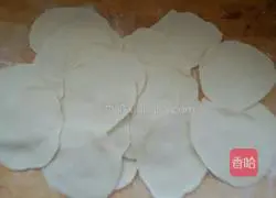 Illustration of how to make dumplings 4