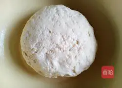 Pork and beans Illustration of how to make stuffed dumplings 1