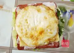 Cheese and ham sandwich Illustration of how to do it 7