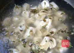 Illustration of cooking wontons 2