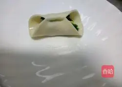 Illustration of how to make fancy dumplings 9