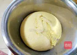 Illustration of making caterpillar ham and steamed buns 6