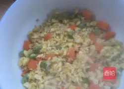 Assorted Fried Rice Recipe Illustration 7