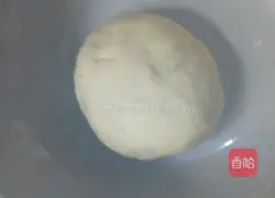 Illustration of making dumplings stuffed with white radish filling 11