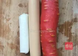 Gold Illustration of how to make fried rice 1