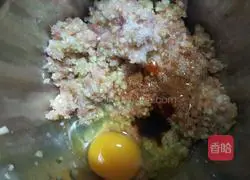 Zucchini and Pork Wonton Recipe Illustration 5