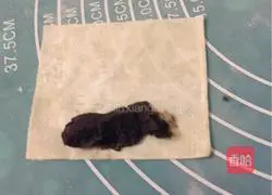 Illustration of how to make spring rolls with wonton wrappers 3