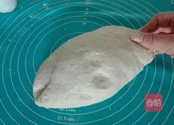 Illustration of whole wheat bean dregs steamed buns 9