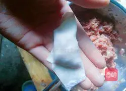 Illustration of how to make wontons 4