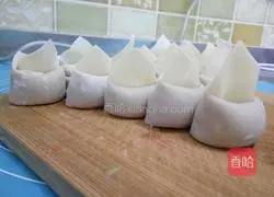 Illustration of how to make beef wontons 4