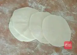 Illustration of how to make vegetarian three fresh stuffed dumplings 6