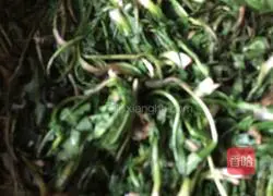 Illustration of how to make shepherd's purse wontons 5