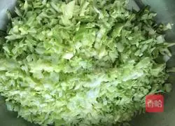 Illustration of how to make cabbage and pork dumplings 1