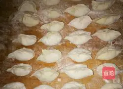 Illustration of how to make cabbage, pork and green onion dumplings 4