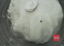 Illustration of homemade glutinous rice balls 1