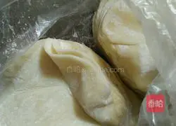 Illustration of cooking dumplings 2