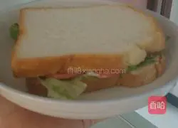 Illustration of how to make a sandwich 5