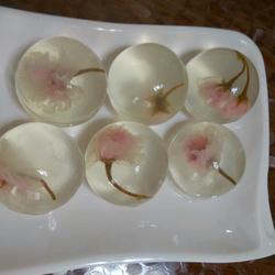 Sakura Mizu Shingen Mochi (This is my first tutorial, so if there are any shortcomings, please let me know!)