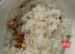 Illustration of how to make dumplings and shaomai 3