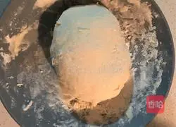 onion Illustration of how to make oil egg pancakes 1