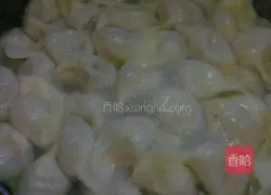 Carrot Pork Illustration of how to make dumplings 14