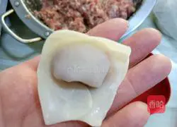 Illustration of how to make wontons 5