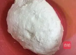 Illustration of how to make sesame cakes 3