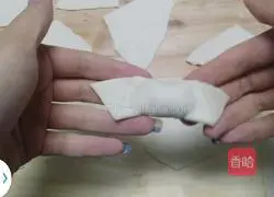 Illustration of how to make pork wontons 10