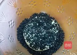 Sesame Honey Bean Cake Recipe Illustration 7