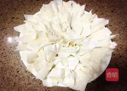 Illustration of how to make wontons 5